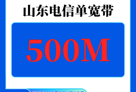 山东电信600元包1年单宽带500M【不含调试费】-百团号卡