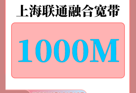上海联通1200元包1年单宽带1000M【免调试费】-百团号卡