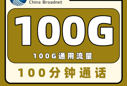 广电双百卡29元套餐包含100G通用流量+100分钟的通话（发全国）-百团号卡